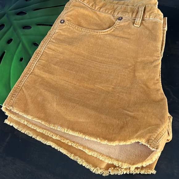 Gap corduroy fringe shorts - Picture 5 of 5